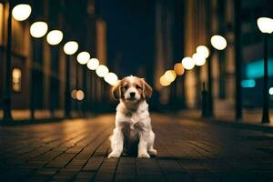 een hond zittend Aan de straat Bij nacht. ai-gegenereerd foto