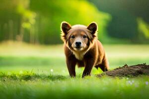 een bruin hond is staand in de gras. ai-gegenereerd foto