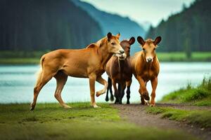 drie paarden zijn wandelen langs een pad in de buurt een meer. ai-gegenereerd foto