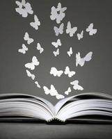 open boek en vlinders foto