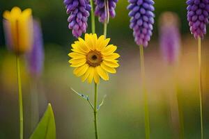 geel bloem en Purper bloemen in een veld. ai-gegenereerd foto