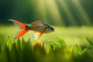 foto behang de lucht, gras, water, vis, zon, licht, vis, water,. ai-gegenereerd