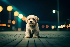 een klein hond zittend Aan de grond in voorkant van een straat licht. ai-gegenereerd foto