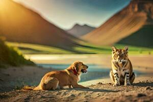 twee honden en een tijger zittend Aan de grond. ai-gegenereerd foto