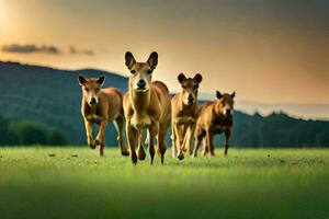 een groep van hert rennen in de gras. ai-gegenereerd foto