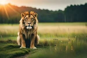 een leeuw is zittend in de gras Bij zonsondergang. ai-gegenereerd foto