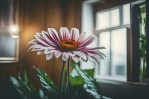 een bloem is zittend in voorkant van een venster. ai-gegenereerd foto