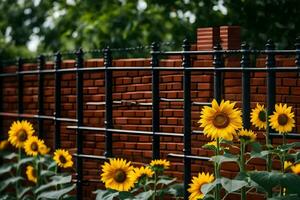 zonnebloemen in voorkant van een steen schutting. ai-gegenereerd foto