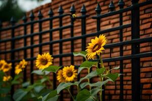 zonnebloemen groeit in voorkant van een zwart ijzer schutting. ai-gegenereerd foto