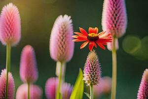 foto behang, bloemen, de zon, de bloem, de bloem, de bloem, de bloem. ai-gegenereerd