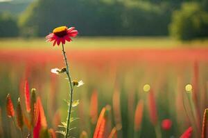 een rood bloem staat in de midden- van een veld. ai-gegenereerd foto