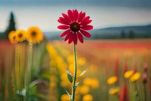 een rood bloem staat uit in een veld- van geel en rood bloemen. ai-gegenereerd foto