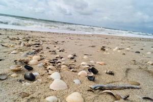 op het strand van blavand ho denemarken foto