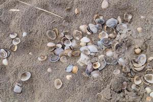 op het strand van blavand ho denemarken foto