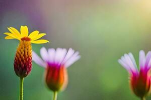 een bloem is staand in voorkant van een veld- van bloemen. ai-gegenereerd foto