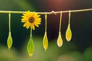 een zonnebloem is groeit van een stang. ai-gegenereerd foto