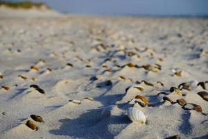 op het strand van blavand ho denemarken foto