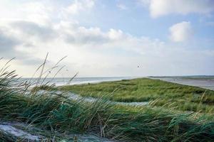 op het strand van blavand ho denemarken foto