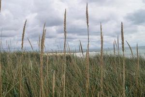 op het strand van blavand ho denemarken foto