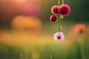 een roze bloem is hangende van een Liaan in een veld. ai-gegenereerd foto