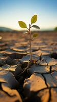 eenzaam boom spruiten Aan uitgedroogd aarde, symboliseert klimaat crisis, water schaarste ten gevolge naar globaal opwarming verticaal mobiel behang ai gegenereerd foto