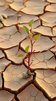 aard alarm gebarsten, droog bodem in woestijn spreekt van klimaat veranderingen ernst verticaal mobiel behang ai gegenereerd foto