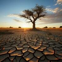 boom Aan gebarsten grond betekent: klimaat verandering invloed, droogte, en milieu crisis voor sociaal media post grootte ai gegenereerd foto