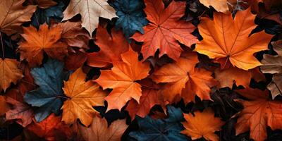 herfst bladeren, top visie. herfst achtergrond. generatief ai foto