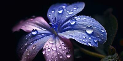 prachtig maagdenpalm bloem met regendruppels. generatief ai foto