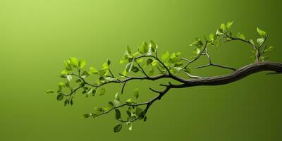 Afdeling met groen bladeren Aan groen achtergrond. minimalisme. ruimte voor tekst. generatief ai foto