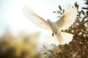 een majestueus wit vogel stijgend door de lucht foto