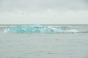 ijsbergen in jokulsarlon, een glaciaal meer in IJsland foto