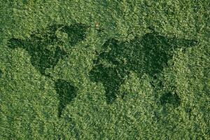 kunstmatig gras of tapijt met synthetisch gras en wereld kaart. foto's voor de concept van Gaan groen en opslaan de aarde foto