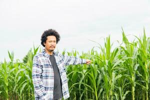 glimlachen Aziatisch boer groen boerderij foto