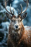 hert Aan sneeuw natuur achtergrond, ai gegenereerd foto