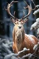 hert Aan sneeuw natuur achtergrond, ai gegenereerd foto