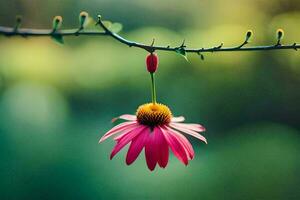 een roze bloem hangende van een Afdeling. ai-gegenereerd foto