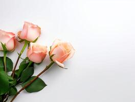 mooi roos bloemen Aan vlak achtergrond, top visie. ruimte voor tekst ai gegenereerd foto