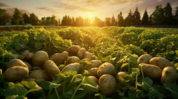 aardappelen in een groen veld. generatief ai foto