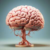 een menselijk hersenen model, menselijk ontwerp, slim verstand, ai generatief foto