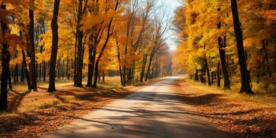 herfst Woud landschap met weg en warm zonlicht schijnen door takken van bomen, kleurrijk natuur, ai generatief foto