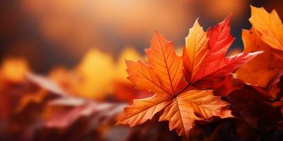 detailopname kleurrijk herfst helder herfst blad, mooi sereen landschap, kopiëren ruimte voor groet kaart, ai generatief foto