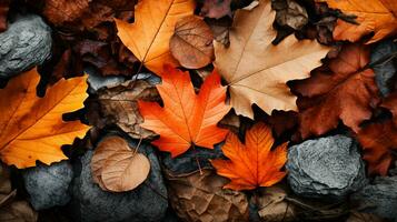 kleurrijk herfst bladeren achtergrond, veelkleurig esdoorn- bladeren achtergrond. hoog kwaliteit resolutie afbeelding, ai generatief foto