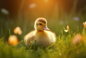 schattig eendjes in de tuin met wazig achtergrond en zonlicht. generatief ai foto