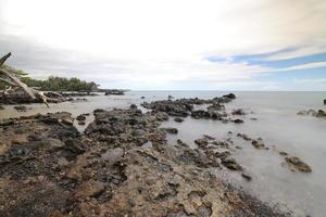 hawaï-eiland, strand 67 drijfhout en zee foto
