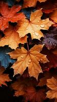 een symfonie van vallend esdoorn- bladeren creëert een levendig, seizoensgebonden achtergrond verticaal mobiel behang ai gegenereerd foto