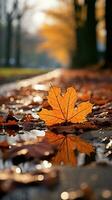 selectief focus Aan gedaald bladeren, creëren een herfst- tapijtwerk Aan de pad verticaal mobiel behang ai gegenereerd foto
