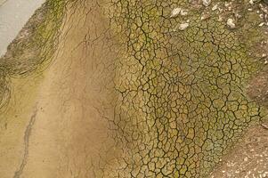 de consul rivier- is een welvarend van de tejo rivier, in Portugal, en is een heel groot rivier. Bij deze tijd het is helemaal droog, zonder water en met haar bed gebarsten ten gevolge naar klimaat verandering foto