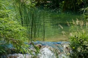 landschap in krka nationaal park in Kroatië, bekend voor haar mooi watervallen foto
