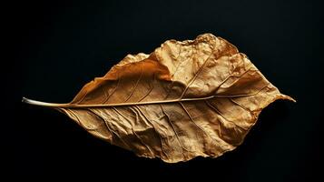 levendig herfst oud droog blad Aan zwart achtergrond. ai gegenereerd foto